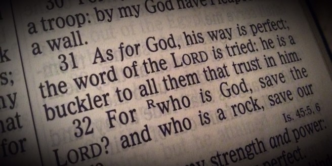 2 Samuel 22:31 As for God, his way is perfect; the word of the LORD is tried: he is a buckler to all them that trust in him.