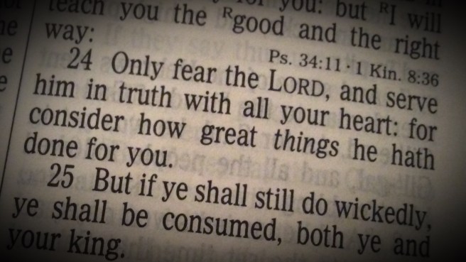 1 Samuel 12:24 Only fear the LORD, and serve him in truth with all your heart: for consider how great things he hath done for you.